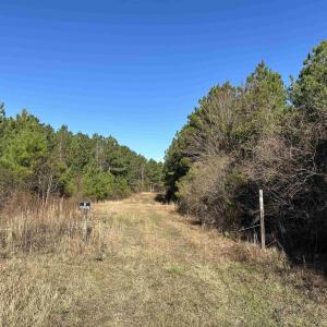 Photo #17 of 821 Lake City Hwy., Johnsonville, SC 149.0 acres