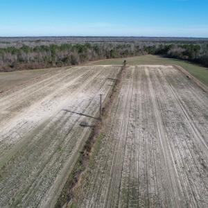 Photo #5 of 821 Lake City Hwy., Johnsonville, SC 149.0 acres