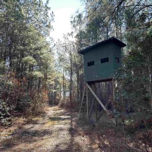 Photo #1 of 821 Lake City Hwy., Johnsonville, SC 149.0 acres