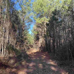 Photo #15 of 821 Lake City Hwy., Johnsonville, SC 149.0 acres
