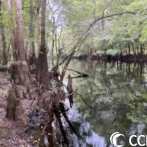 Photo #9 of 821 Lake City Hwy., Johnsonville, SC 149.0 acres