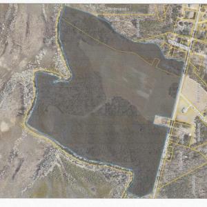 Photo #13 of 821 Lake City Hwy., Johnsonville, SC 149.0 acres