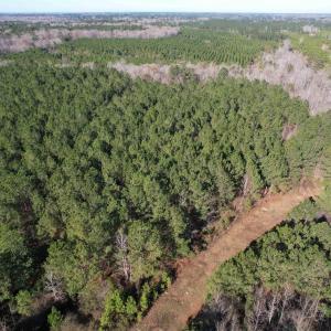 Photo #25 of 821 Lake City Hwy., Johnsonville, SC 149.0 acres