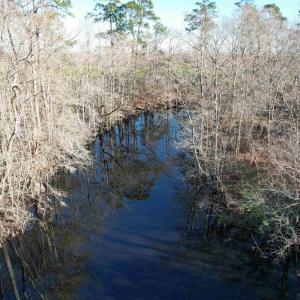 Photo #33 of 821 Lake City Hwy., Johnsonville, SC 149.0 acres