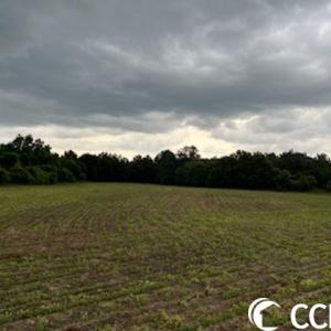 Photo #7 of 821 Lake City Hwy., Johnsonville, SC 149.0 acres