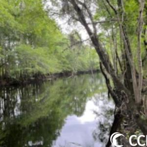 Photo #2 of 821 Lake City Hwy., Johnsonville, SC 149.0 acres
