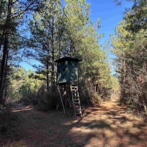 Photo #16 of 821 Lake City Hwy., Johnsonville, SC 149.0 acres