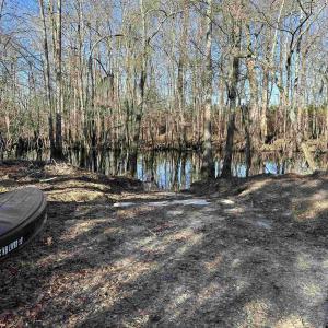Photo #3 of 821 Lake City Hwy., Johnsonville, SC 149.0 acres