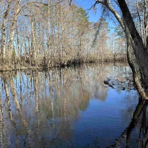 Photo #4 of 821 Lake City Hwy., Johnsonville, SC 149.0 acres