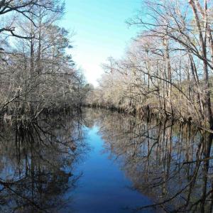 Photo #24 of 821 Lake City Hwy., Johnsonville, SC 149.0 acres