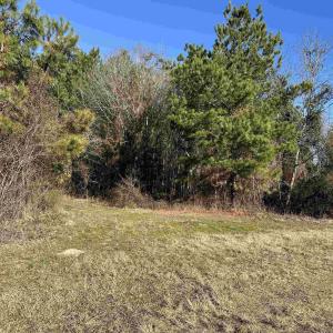 Photo #16 of 821 Lake City Hwy., Johnsonville, SC 149.0 acres