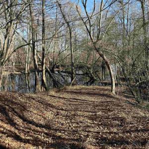Photo #15 of 821 Lake City Hwy., Johnsonville, SC 149.0 acres