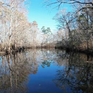 Photo #25 of 821 Lake City Hwy., Johnsonville, SC 149.0 acres