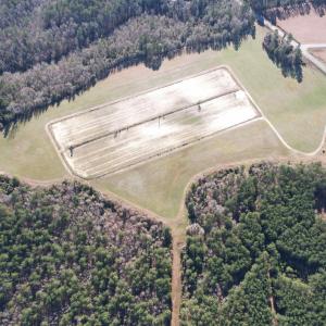 Photo #21 of 821 Lake City Hwy., Johnsonville, SC 149.0 acres