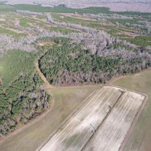 Photo #23 of 821 Lake City Hwy., Johnsonville, SC 149.0 acres