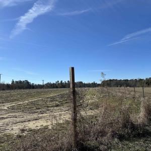 Photo #17 of 821 Lake City Hwy., Johnsonville, SC 149.0 acres