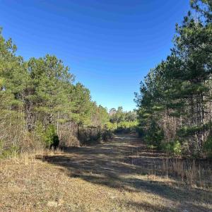 Photo #12 of 821 Lake City Hwy., Johnsonville, SC 149.0 acres