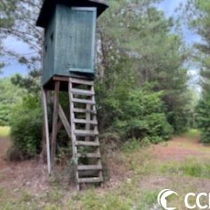 Photo #9 of 821 Lake City Hwy., Johnsonville, SC 149.0 acres