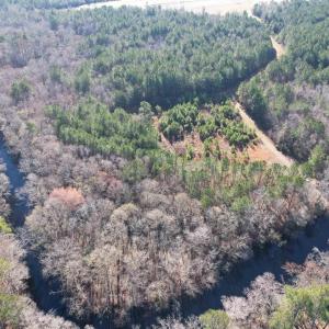 Photo #24 of 821 Lake City Hwy., Johnsonville, SC 149.0 acres