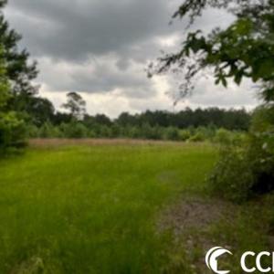 Photo #11 of 821 Lake City Hwy., Johnsonville, SC 149.0 acres