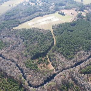 Photo #22 of 821 Lake City Hwy., Johnsonville, SC 149.0 acres