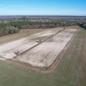 Photo #20 of 821 Lake City Hwy., Johnsonville, SC 149.0 acres
