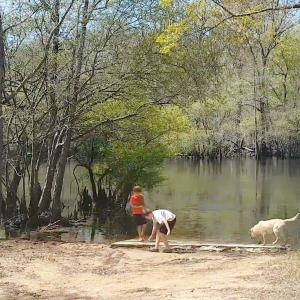 Photo #2 of Lot 7 Black Island Rd., Galivants Ferry, SC 0.8 acres