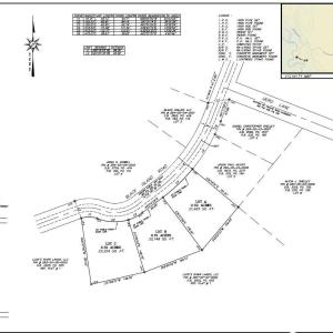 Photo #5 of TBD Black Island Rd., Galivants Ferry, SC 0.5 acres