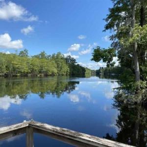 Photo #8 of TBD Lees Landing Circle, Conway, SC 3.4 acres