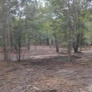 Photo #27 of TBD Lees Landing Circle, Conway, SC 3.4 acres