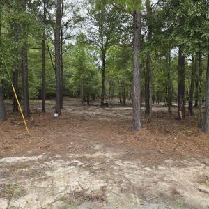 Photo #33 of TBD Lees Landing Circle, Conway, SC 3.4 acres