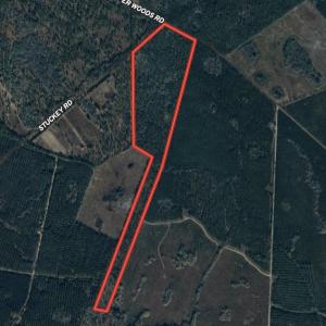 Photo #9 of TBD Roper Woods Rd., Hemingway, SC 92.5 acres