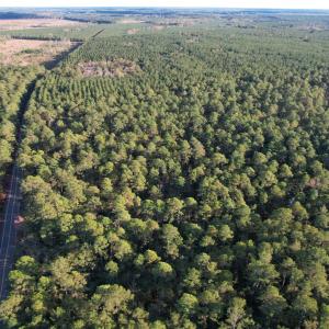 Photo #2 of TBD Roper Woods Rd., Hemingway, SC 92.5 acres