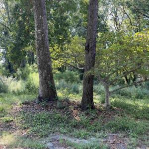 Photo #31 of 2801 Little River Neck Rd., North Myrtle Beach, SC 25.8 acres
