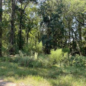 Photo #29 of 2801 Little River Neck Rd., North Myrtle Beach, SC 25.8 acres