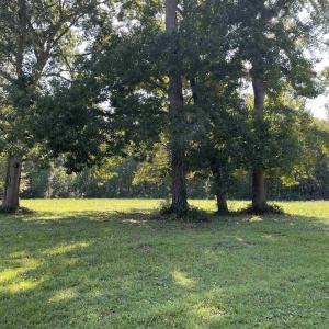 Photo #8 of 2801 Little River Neck Rd., North Myrtle Beach, SC 25.8 acres