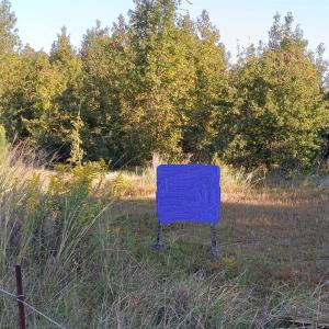 Photo #1 of TBD Guyton Ct., Marion, SC 31.5 acres