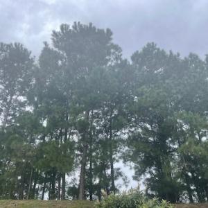 Photo #1 of TBD Della Rd., Longs, SC 1.6 acres