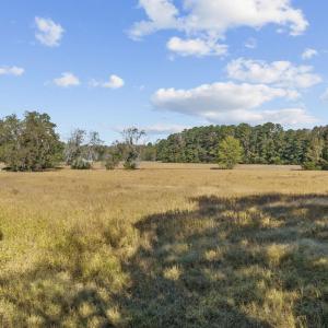 Photo #11 of Highway 701 South, Conway, SC 53.3 acres