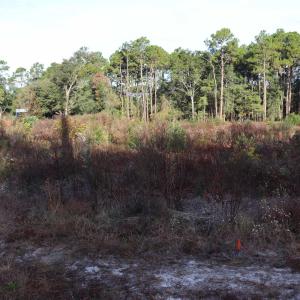 Photo #5 of 7765 Ocean Hwy., Pawleys Island, SC 3.1 acres