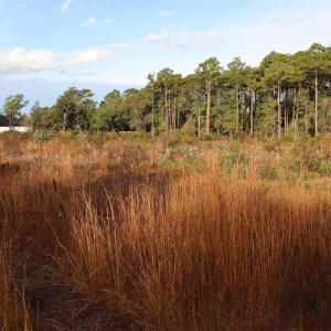 Photo #1 of 7765 Ocean Hwy., Pawleys Island, SC 3.1 acres