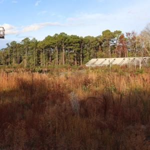Photo #4 of 7765 Ocean Hwy., Pawleys Island, SC 3.1 acres