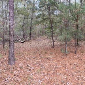 Photo #1 of TBD Persimmon Ford Rd., Johnsonville, SC 8.2 acres