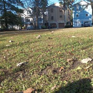 Photo #7 of 1310 Hidden Harbor Rd., Myrtle Beach, SC 0.3 acres