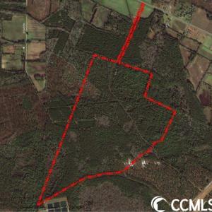Photo #1 of TBD Coates Rd., North Myrtle Beach, SC 181.2 acres