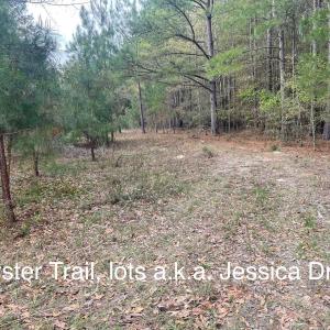 Oyster Trail Lots