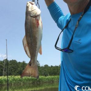 Photo #15 of Slip 28 Friendfield Marina, Georgetown, SC 0.0 acres