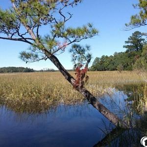 Photo #12 of Slip 28 Friendfield Marina, Georgetown, SC 0.0 acres