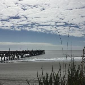 Photo #12 of 1479 & 1471 Highway 17, Little River, SC 1.4 acres