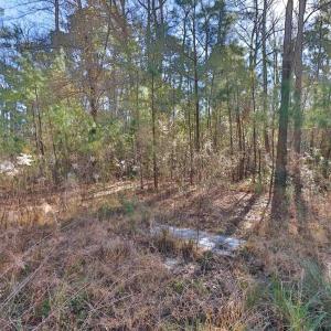 Photo #4 of 4231 Roscoe Rd., Myrtle Beach, SC 1.5 acres